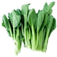 菜芯