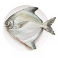 英倉魚