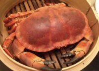 面包蟹 (大)