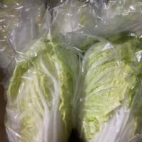大白菜（紹菜)