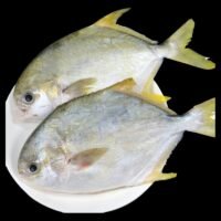 急凍金昌魚