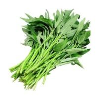 通菜