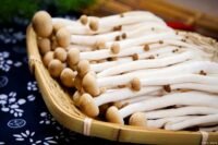 蟹爪菇