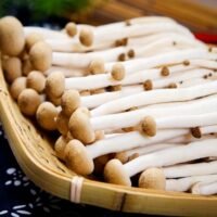 蟹爪菇