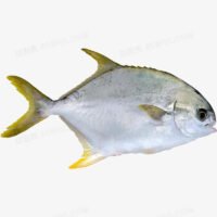 金昌