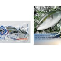 油甘魚 半條   約 1.6 - 1.9KG ( 以重量計)