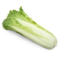 大白菜（紹菜)