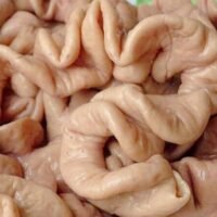 Frozen Pork Fat End 豬腸