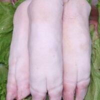 Frozen Pork Trotter 豬腳 (已切) 1KG